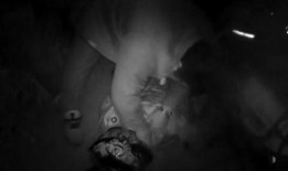 自杀视频,揭秘自杀视频背后的真相与警示